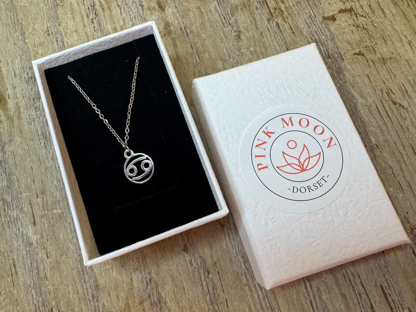 Cancer delicate pendant and chain