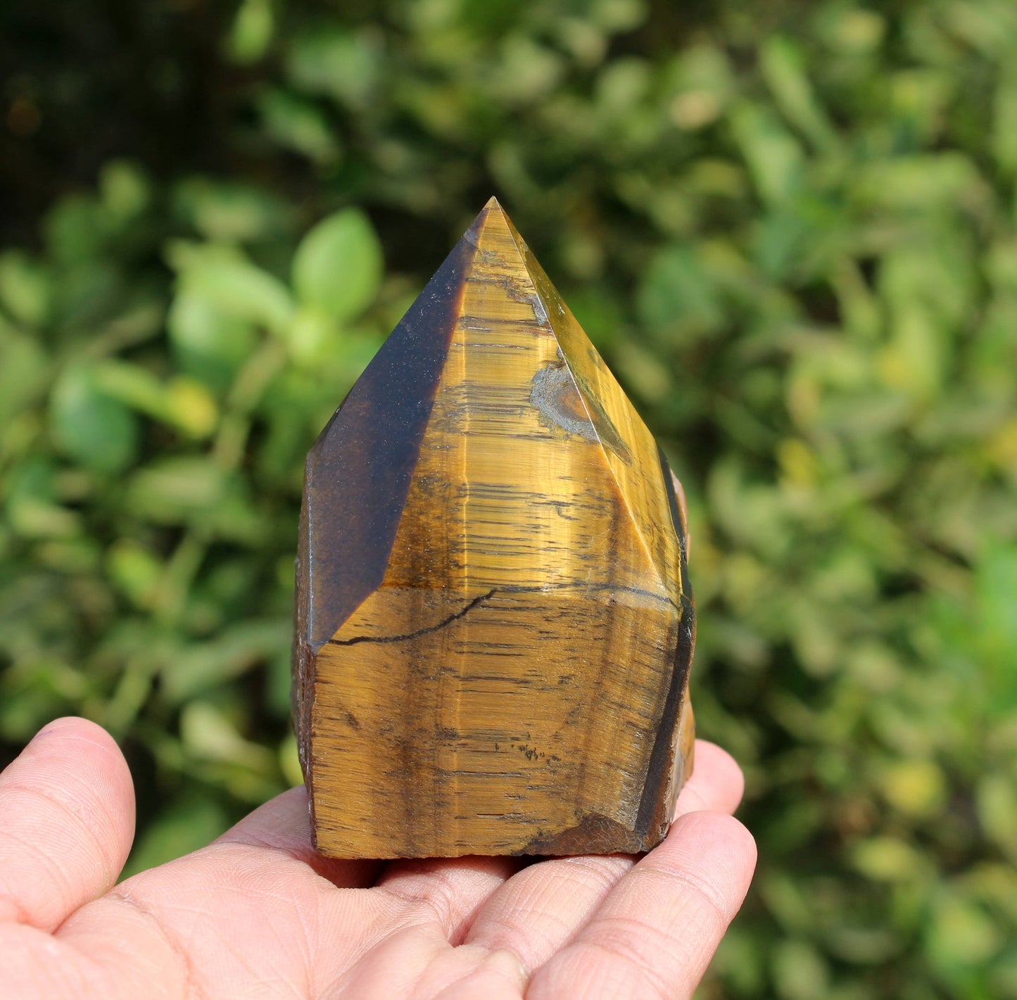 Tiger Eye Raw Points
