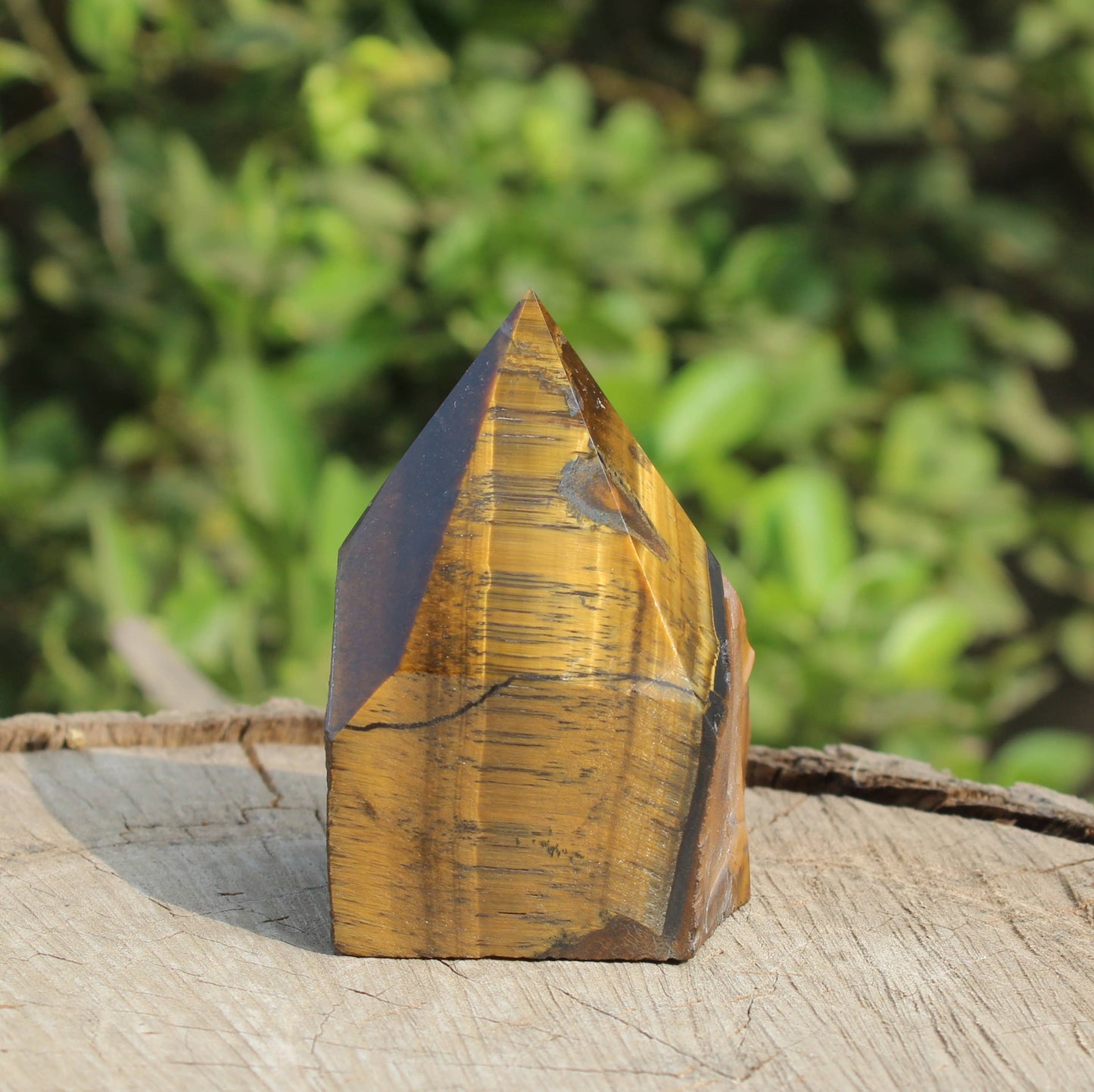 Tiger Eye Raw Points