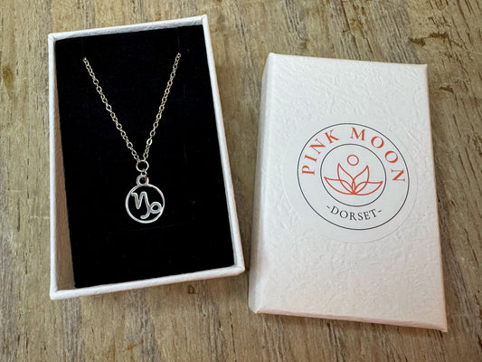 Capricorn delicate pendant and chain