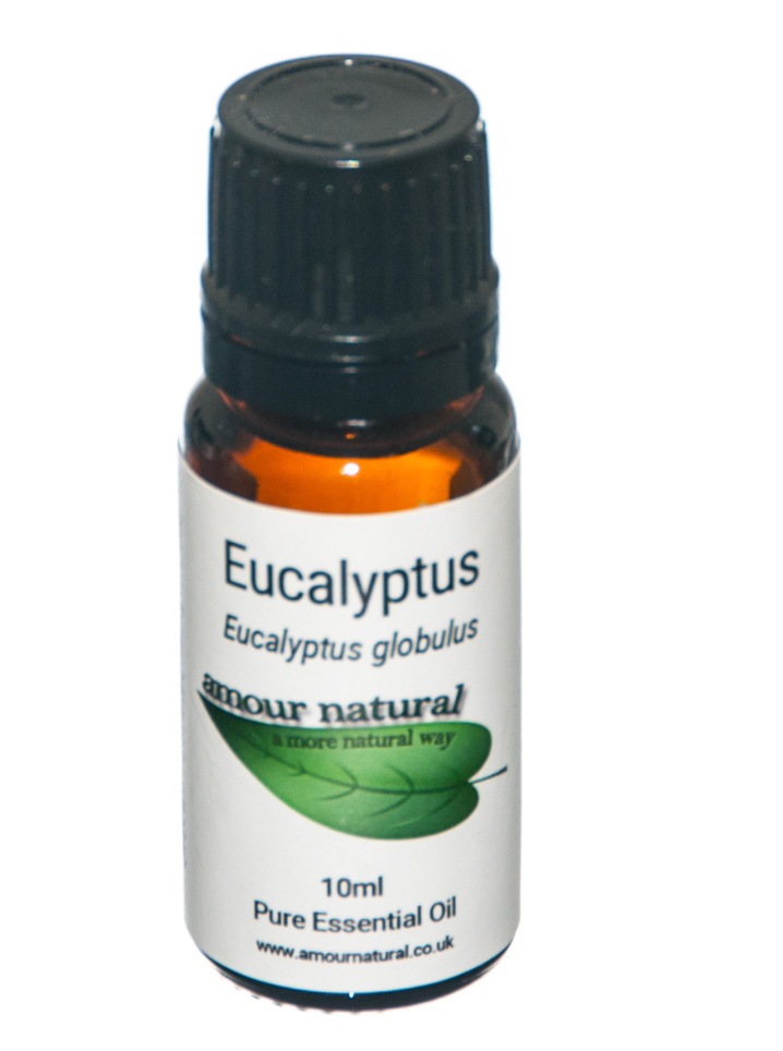 Eucalyptus essential oil 10ml by Amour Natural